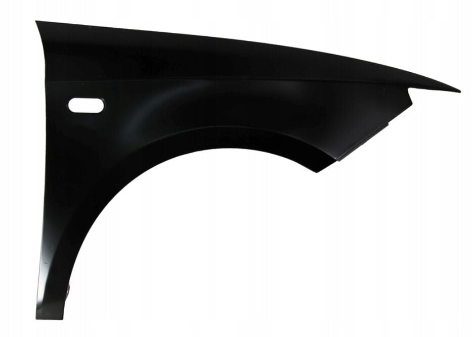 EZİK - İBİZA 2009 SAĞ ÖN ÇAMURLUK TAİVAN